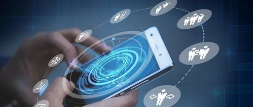 素质教育新赛道 教育部公示37项全国性竞赛，教培行业转型聚焦技术服务